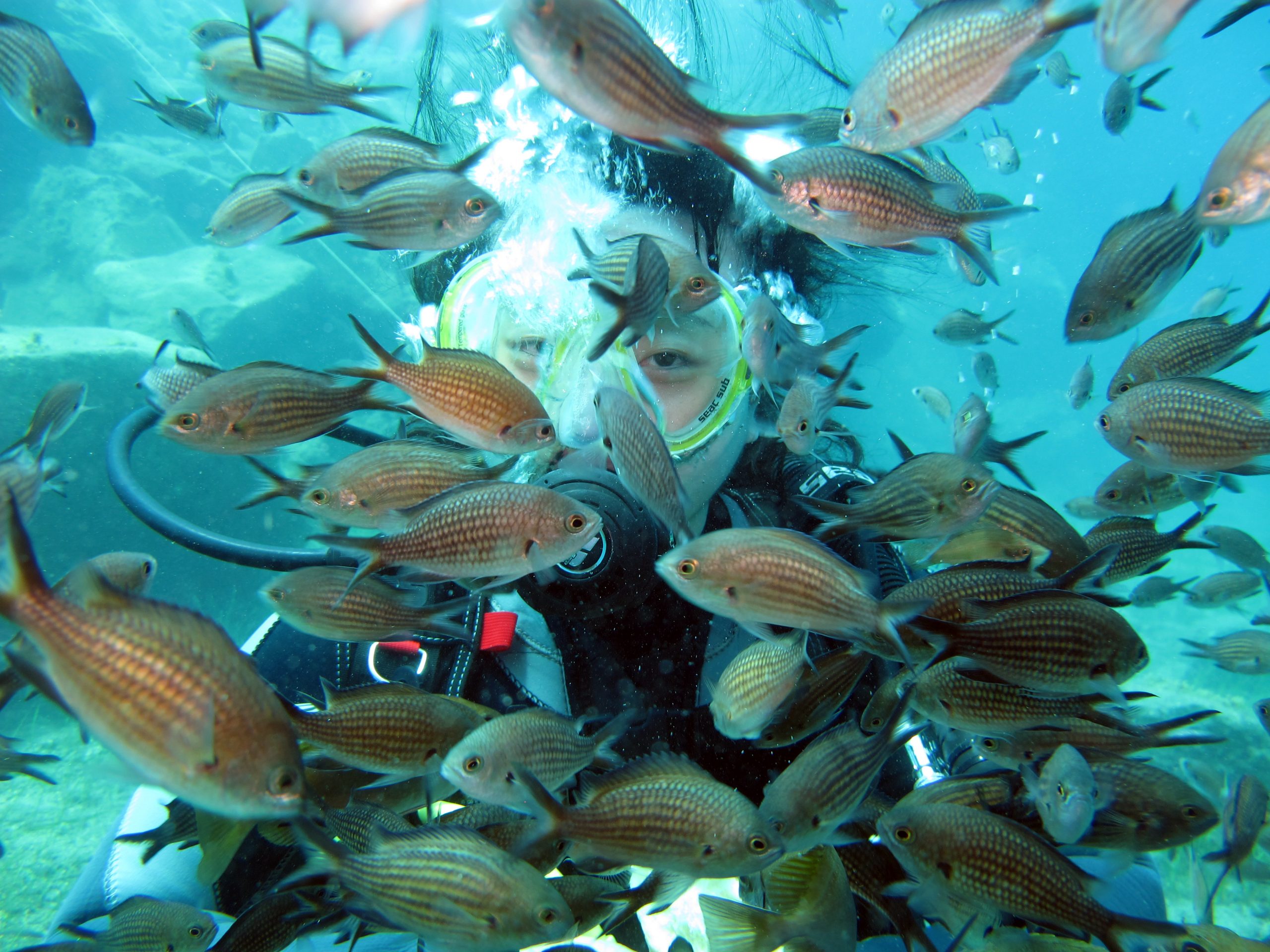 family diving Santorini island Greece